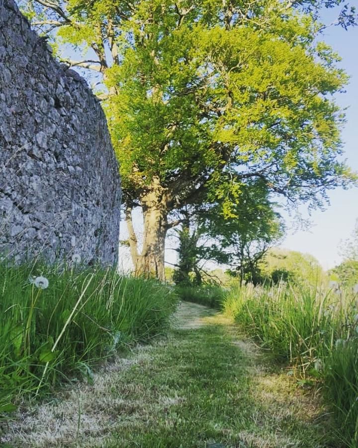 Кемпинги Galway Glamping Caherphuca-10